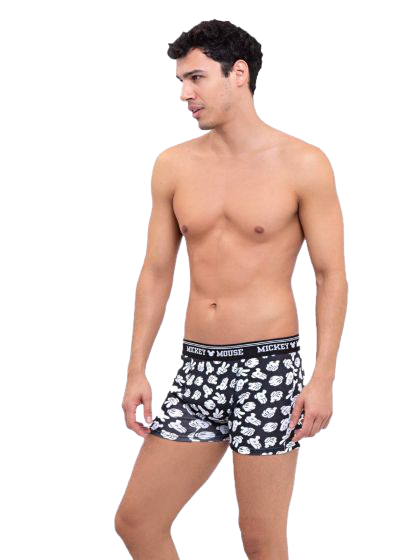 Boxer Mickey Dufour 20750