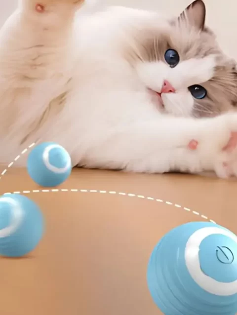 Bola Interactiva Para Gatos Inteligente Recargable USB